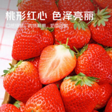 20点，需凑单，plus:京觅 丹东草莓99红颜水果礼盒年货生鲜净重3斤装 单果20g+ 源头直发