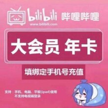哔哩哔哩 bilibili 大会员年卡12个月B站