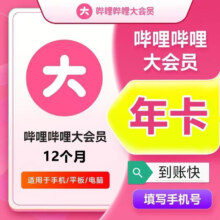 哔哩哔哩 大会员vip年卡