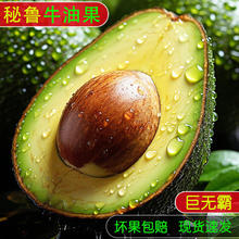 果尽欢 秘鲁哈斯牛油果即食鳄梨当应季新鲜婴儿水果整箱大果 6个 90-120克/只