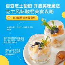 君乐宝 中国大陆 原味奶酪风味酸牛奶 180g*12袋
