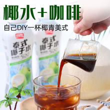 盼盼 0糖厚椰乳 泰式椰子水PET380ml*15瓶