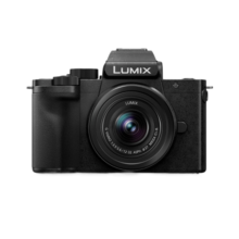松下（Panasonic）G100D 微单/单电/无反数码相机 专业收音 翻转自拍Vlog-L相机 学生相机 内置三个麦克风 G100DK【12-32mm】原封单镜套机