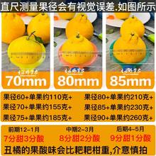 生活＆好管家 Chamberlain 四川不知火丑橘3斤桔子当季新鲜时令水果整箱包邮柑非耙耙粑粑10