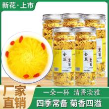 一朵一杯 精选金丝皇菊50朵