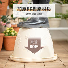 爱丽思 爱丽丝花盆加仑植物控根创意绿萝多肉兰花塑料树脂爱丽思盆浮雕