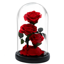 JoyFlower永生花玫瑰花礼盒生日礼物结婚纪念日送女生朋友老婆惊喜感实用