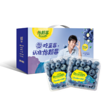 怡颗莓 当季云南蓝莓 国产蓝莓  超大125g*8盒（18mm+）