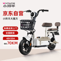 小羚羊 大魔方48V20AH铅酸电动车可上牌电动自行车免费送装上门 奶油白