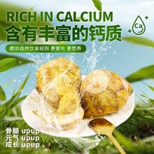 妮吖 宠物零食鸡仔蛋中大型犬宠物罐头营养毛鸡蛋活珠子20枚一袋