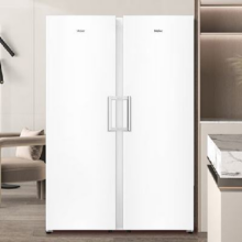 新品上市：Haier 海尔 小红花系列 290升 海尔小冰箱 小冰柜 BD-290WGHEGDW9