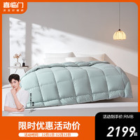 喜临门 Sleemon 云暖 西伯利亚羽绒被 95%白鹅绒被 200cmx230cm 四季被