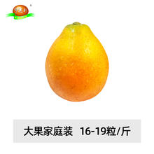 亨达利 脆蜜金柑金桔纯甜橘子当季新鲜水果现摘出口品质脆甜