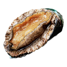 东上御品 山东 新鲜熟冻国产大鲍鱼净重500g（10-12头/斤）*1袋-源头直发