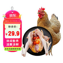 白荡里 安徽 生鲜鸡肉 黄油老母鸡 2斤/只