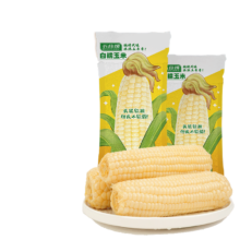需首购：五谷颂糯玉米 非转基因 【软糯皮薄】250g*8穗白糯玉米