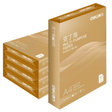 得力（deli）莱茵河珊瑚海a4打印纸整箱a4纸复印纸70g复印纸佳铂复印纸整箱2500张办公用品 坚固包装 【店铺销冠波罗海】  5包装 2500张
