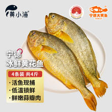 黄小渔 大黄鱼 4条/4斤