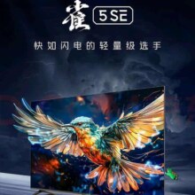 TCL雷鸟 32英寸雀5SE 4K解码 全高清 超薄全面屏 智慧屏 教育电视 游戏智能液晶平板电视机 32英寸 二级能效【新品】 32F175C-A