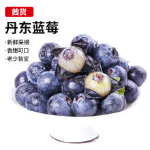 茜货 京觅 丹东新鲜蓝莓花香 6盒15mm+ 约125g/盒 生鲜水果礼盒 源头直发
