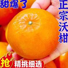 果顺恬 广西沃柑 5斤 65mm 新鲜当季薄皮柑橘整箱