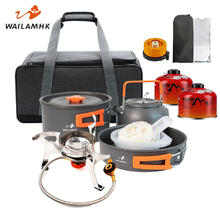 WAILAMHK 包围炉煮茶烧水壶野炊锅折叠便携式罐炊具可 2-3人出游套装