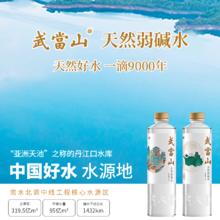 武当山 天然弱碱水 513ml*24瓶 金鼎装
