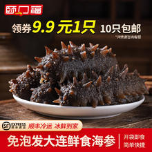 颐口福 大连鲜活即食海参单冻刺参约8-10cm/只