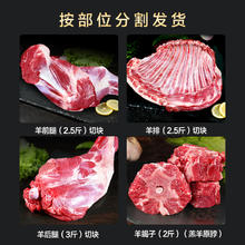 88VIP会员：鲜驰 原切半只羊草原散养乳羔羊10斤羊排羊蝎子羊腿手把肉烤全羊
