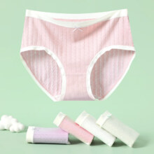 芬腾 纯棉 微收腹内裤女5条