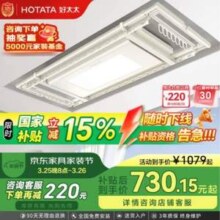 Hotata 好太太 智能晾衣机 D-3082 电动晾衣架