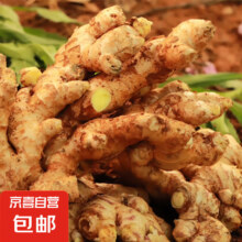 滇鲜生 新鲜云南小黄姜 3斤