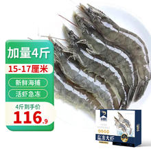 卖鱼郎先生 青岛大虾 净重4斤 70-90只 2kg