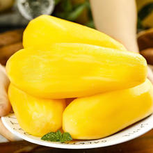 千园九味 云南天山雪莲果新鲜水果当季水果黄心大果整箱 5斤（净重4.5斤）气柱包装
