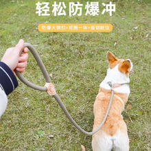 限移动端、京东百亿补贴：华元宠具 Hoopet 狗狗绳子防爆冲P链子P绳牵引绳项圈大型中小型犬狗链防挣脱溜遛狗