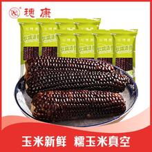 百亿补贴：穗康 黑糯玉米新鲜甜糯240克/支*6玉米即食真空黑玉米穗康新鲜黑糯整箱