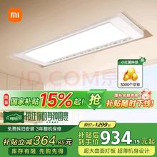 限移动端、京东百亿补贴：米家 MIJIA Pro 智能电动晾衣架 2.2m 极地灰