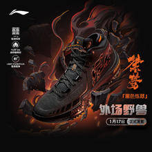 李宁 LI-NING 桀骜丨 官方正品外场实战篮球鞋男缓震防滑运动鞋专业篮球鞋