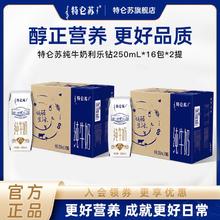 百亿补贴：特仑苏 纯牛奶250ml*16盒*2箱（12月产）