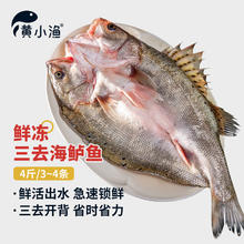 黄小渔 三去海鲈鱼 4斤/4条