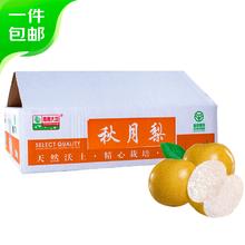 京鲜生 青青大地莱阳秋月梨一级果净重4斤8-10粒单果180g 源头直发包邮