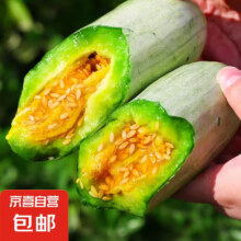 头茬羊角蜜甜瓜 带箱1斤 *2件