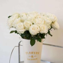 PLUS会员：京东鲜花 玫瑰花白雪山 10枝