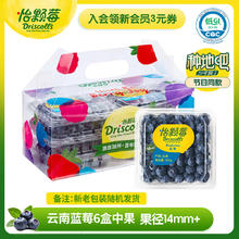 怡颗莓 蓝莓 中果 125g*6盒
