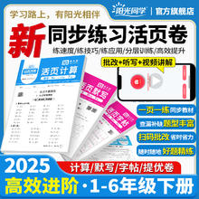 2025春阳光同学活页默写计算练字帖提优试卷