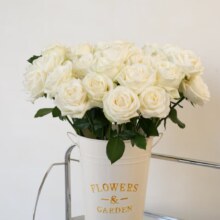 PLUS：京东鲜花 玫瑰花白雪山10枝