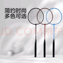 儿童羽毛球拍家庭休闲娱乐练习双拍（双拍+球）