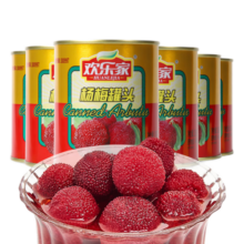 欢乐家 杨梅罐头316g*6罐 新鲜杨梅果肉糖水水果罐头 方便速食零食