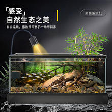 爬将军 南美风溪流缸家用客厅超白玻璃鱼缸新款桌面造景水草生态鱼缸 43x26x21cm