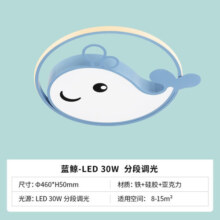 雷士（NVC）LED照明吸顶灯儿童卧室房温馨创意卡通儿童灯30瓦三段调光蓝鲸鱼